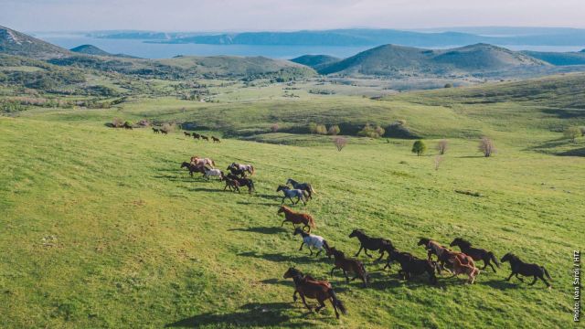 Bater - Krasno Polje